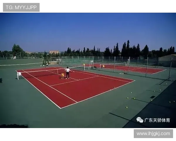 网球运动的技术演变与全球化趋势分析：从传统打法到现代技术革新